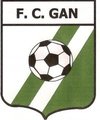 FC GAN