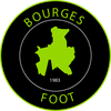 logo du club BOURGES FOOT