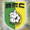 logo du club Bruguières Sporting Club