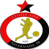 logo du club ETOILE SUD NIVERNAISE 58