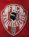 logo du club F.C.Bastelicaccia