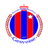 logo du club Royale Etoile Sportive GESVOISE