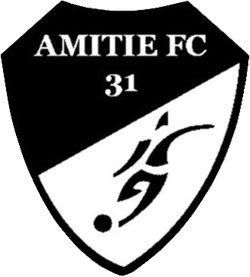 logo du club AMITIE FUTSAL CLUB 31