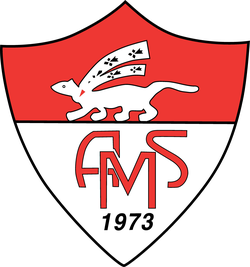 logo du club AS Ménimur
