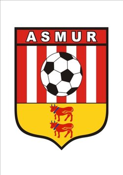 logo du club Association Sportive Mazères Uzos Rontignon