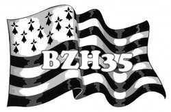 BZH35