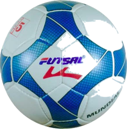 logo du club Championnat 79 futsal
