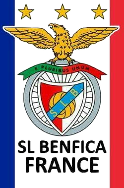 logo du club ASSOCIATION FOOTBALL BENFICA CERIZAY