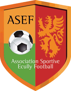 logo du club AS ÉCULLY FOOTBALL