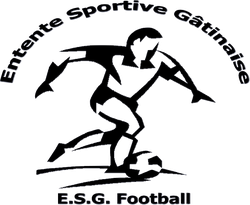 logo du club Entente Sportive Gatinaise Football