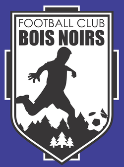 logo du club Football Club des Bois Noirs