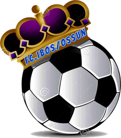 logo du club Fc ibos-ossun 