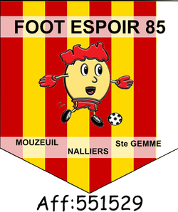 logo du club foot espoir 85
