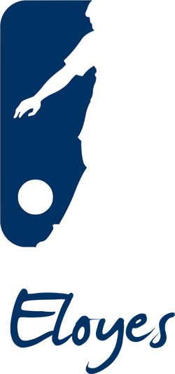 logo du club Association Futsal Eloyes