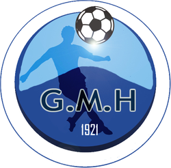 logo du club LES GAS DU MENEZ-HOM