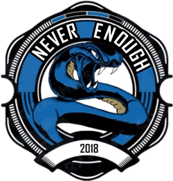logo du club Never Enough