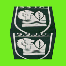 logo du club Saint Seurin Junior Club