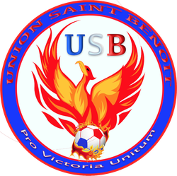 logo du club UNION SAINT BENOIT