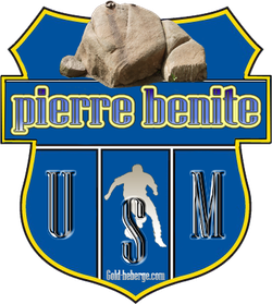 logo du club PIERRE-BENITE FOOT 