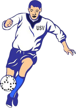 logo du club Union Sportive de Vendeuvre