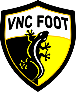logo du club Vernou Neung Courmemin Foot