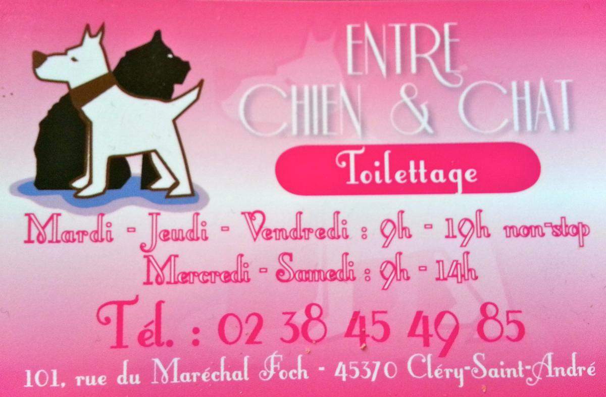 Entre Chien Et Chat Club Football As Clery Mareau