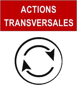 TRANSVERSALE.jpg