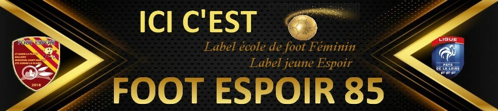 FOOT ESPOIR 85 : site officiel du club de foot de NALLIERS - footeo
