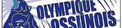 Olympique Ossun Football Club : site officiel du club de foot de ossun - footeo